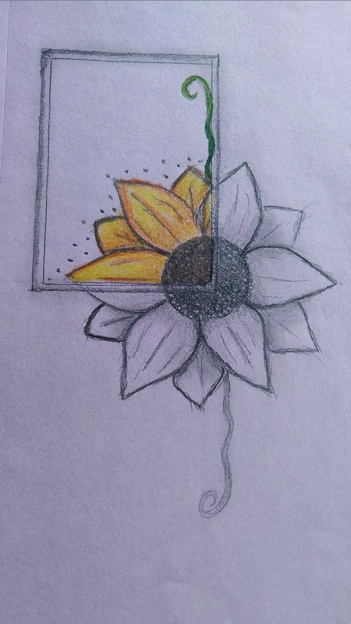 Desenho a Lápis: flor abstrata para desenhar