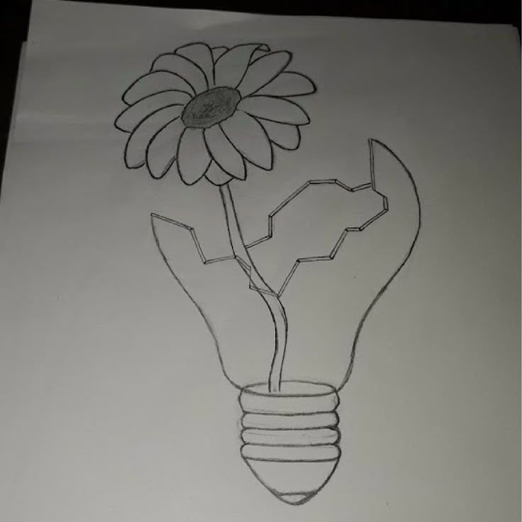 Desenho a Lápis: flor dentro de lâmpada quebrada