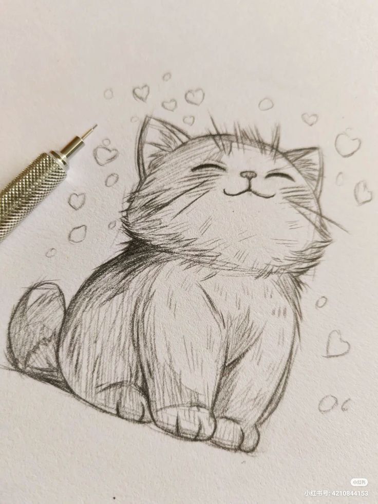 Desenho a Lápis: fofo gatinho sentado para desenhar
