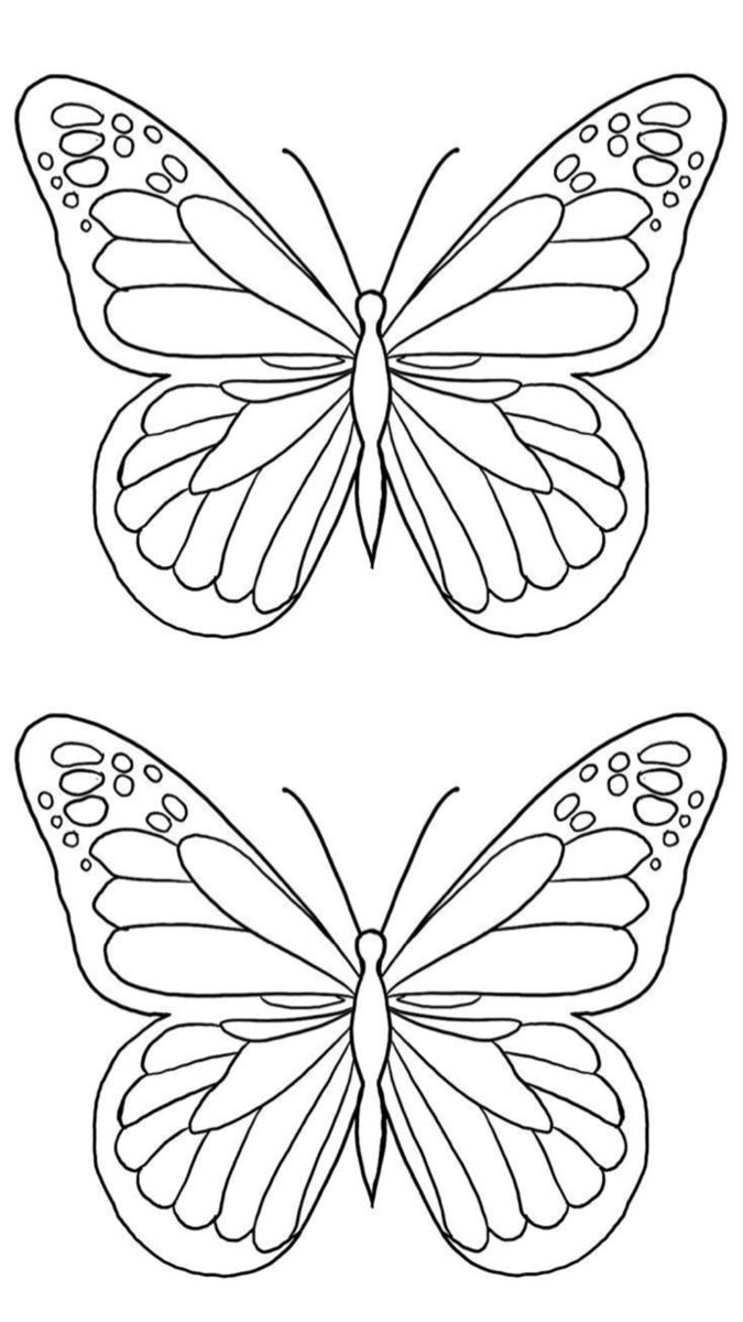 Desenho de Borboleta: Borboleta Simples para desenhar