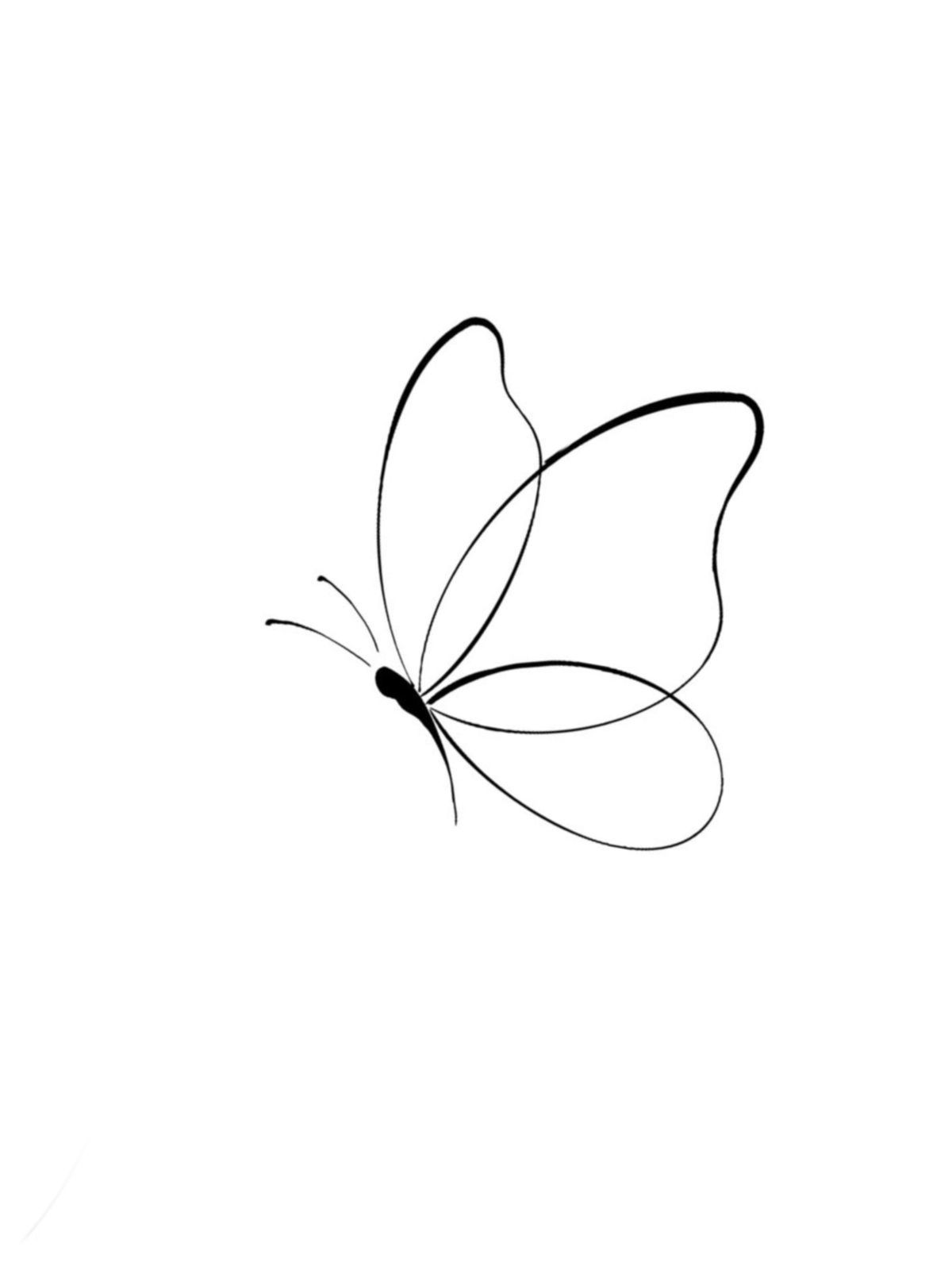 Desenho de Borboleta: Borboleta Simples e Realista para desenhar