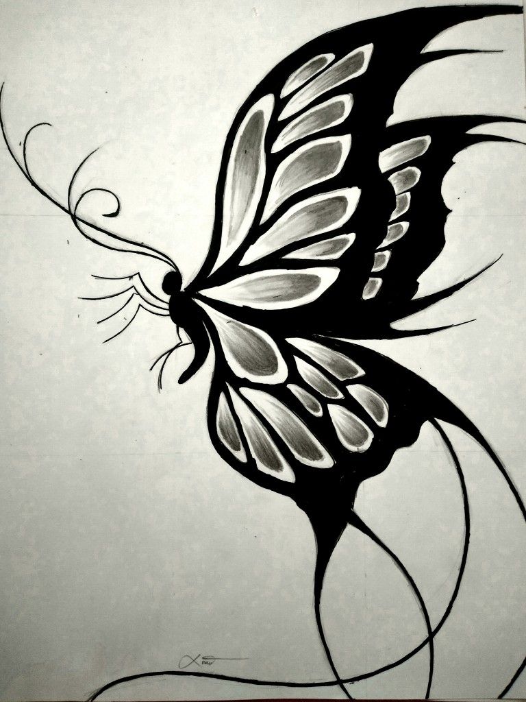 Desenho de Borboleta: Borboleta Realista e Simples a Lápis