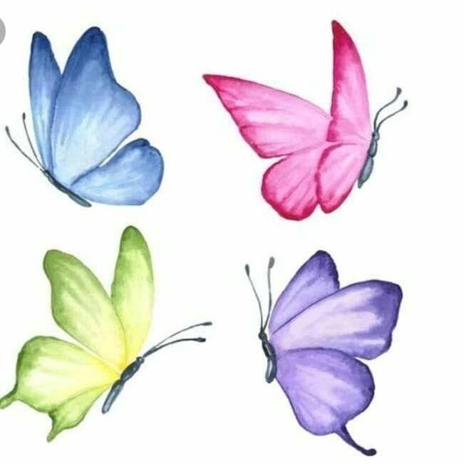 Desenho de Borboleta: Borboletas Coloridas para desenhar