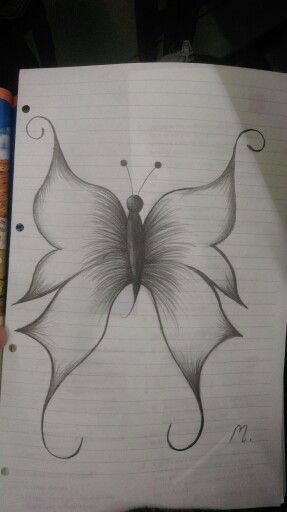 Desenho de Borboleta: Borboleta Realista a Lápis para desenhar