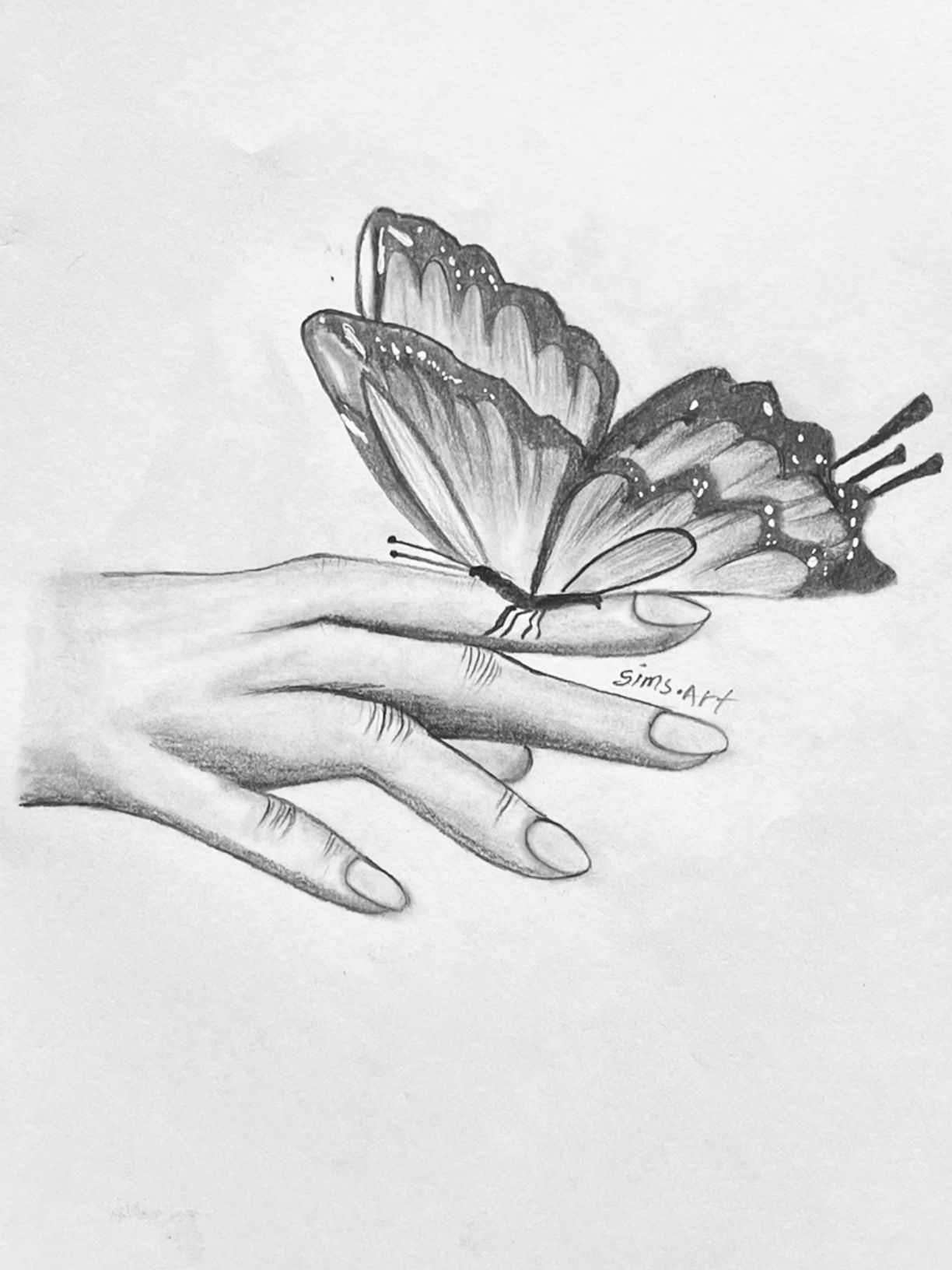 Desenho de Borboleta: Borboleta Realista a Lápis em uma Mão