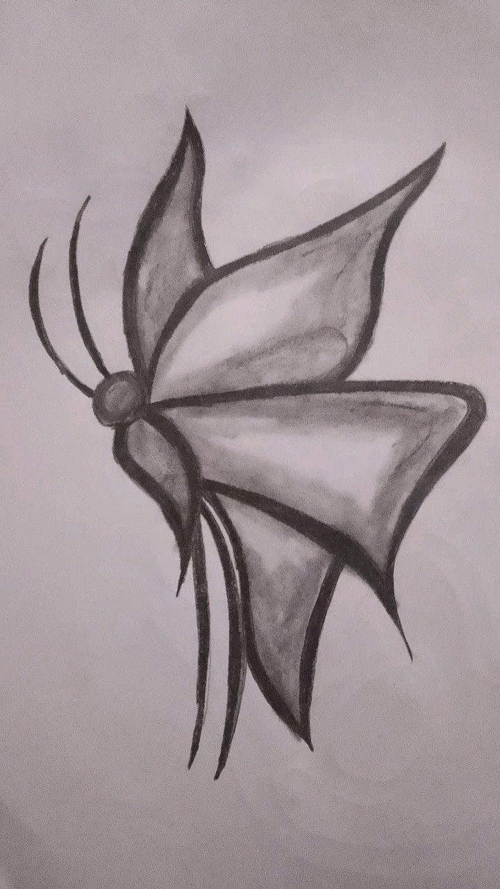 Desenho de Borboleta: Borboleta Realista a lápis para desenhar