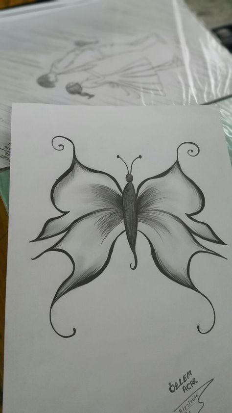 Desenho de Borboleta: Borboleta Realista a Lápis para desenhar