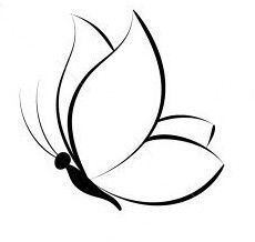 Desenho de Borboleta: Borboleta Simples e Realista a Lápis