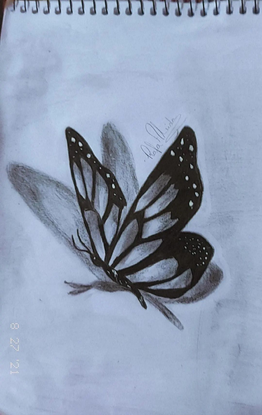 Desenho de Borboleta: Borboleta Realista a Lápis para desenhar