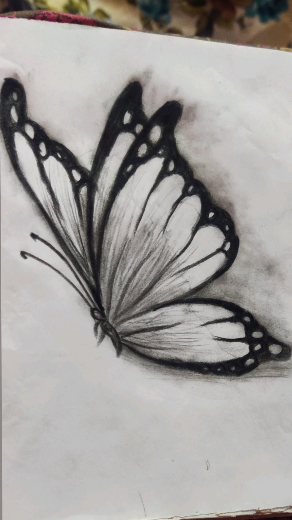 Desenho de Borboleta: Borboleta Realista a Lápis para desenhar