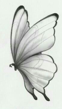 Desenho de Borboleta: Borboleta Realista a Lápis Simples