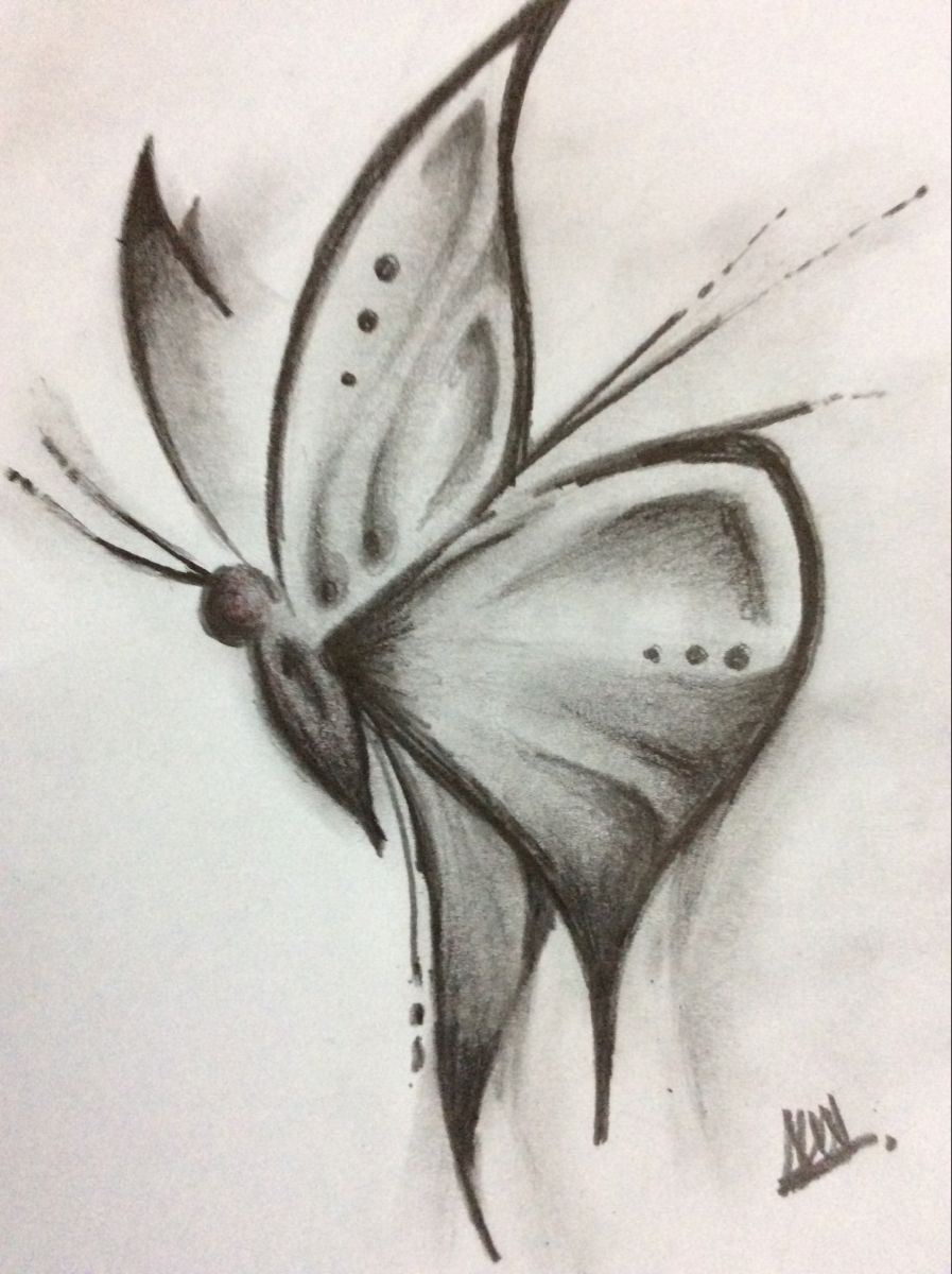 Desenho de Borboleta Realista a Lápis para desenhar