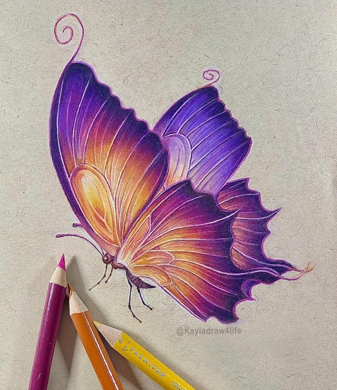 Desenho de Borboleta: Borboleta Realista a Lápis para desenhar