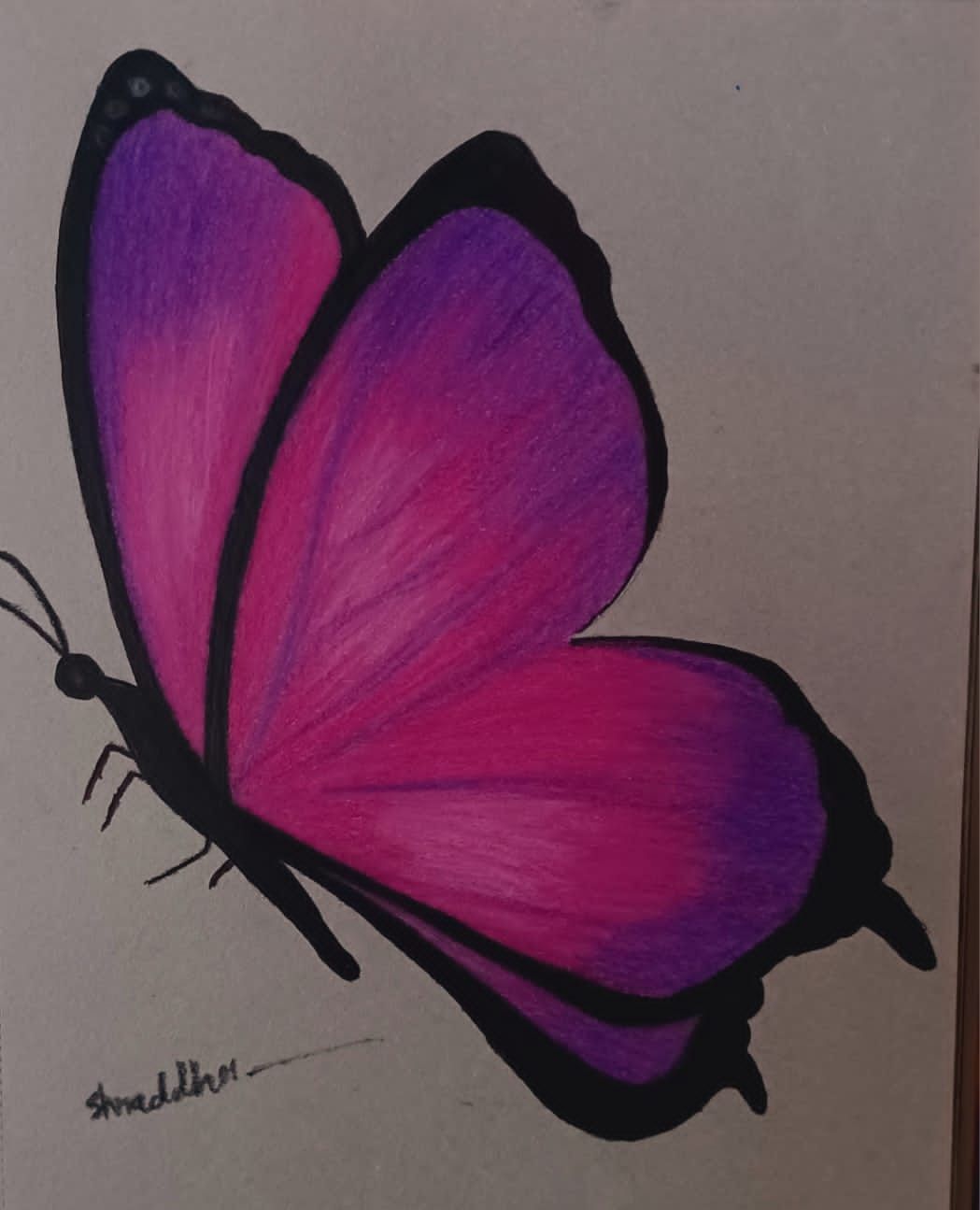 Desenho de Borboleta: Borboleta Realista a Lápis para desenhar