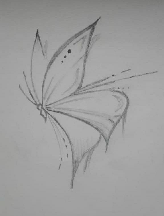 Desenho de Borboleta: Borboleta Simples a Lápis para desenhar