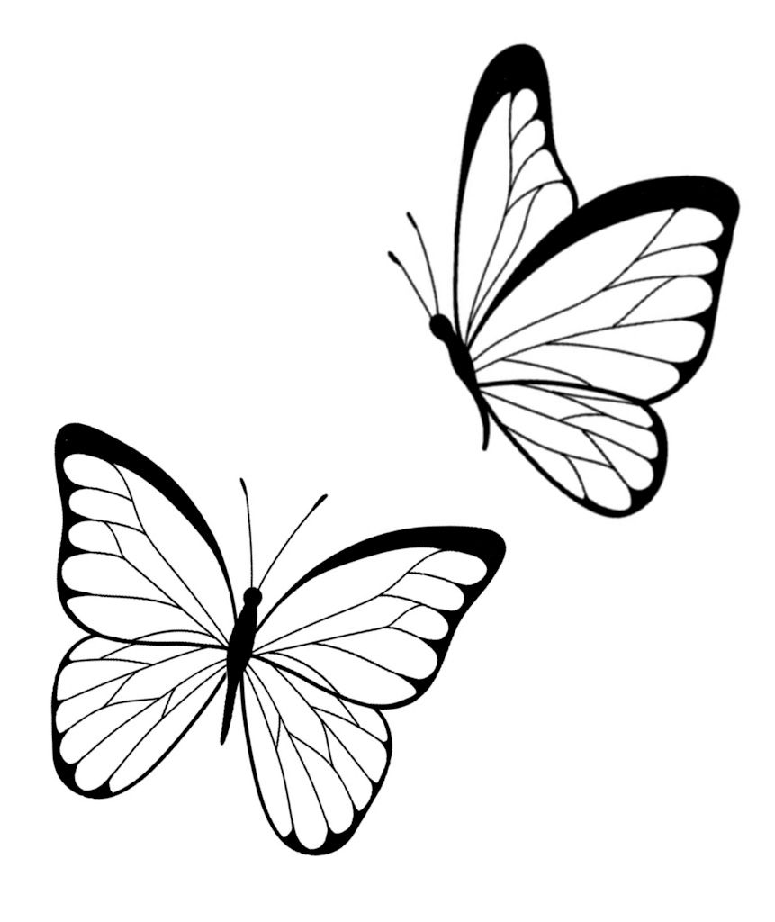 Desenho de Borboleta: Borboleta Realista a Lápis para desenhar