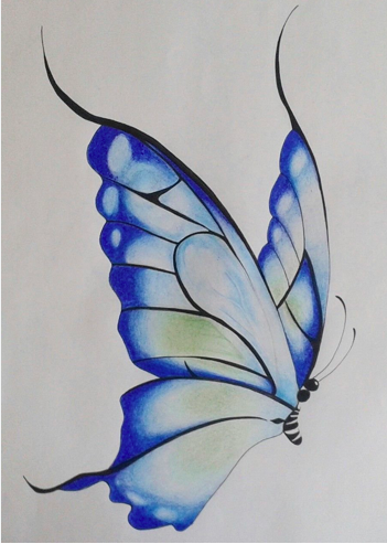 Desenho de Borboleta: Borboleta Azul Realista para desenhar
