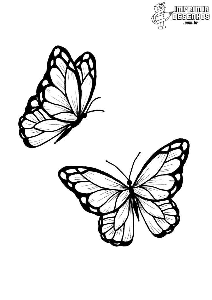 Desenho de Borboleta: Borboleta Realista a Lápis para desenhar