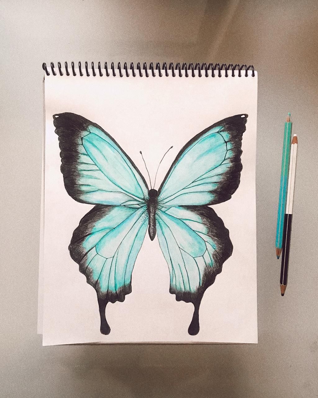 Desenho de Borboleta: Borboleta Realista a Lápis para desenhar