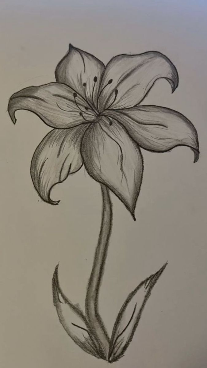 Desenho de Borboleta: Borboleta Realista a Lápis Simples