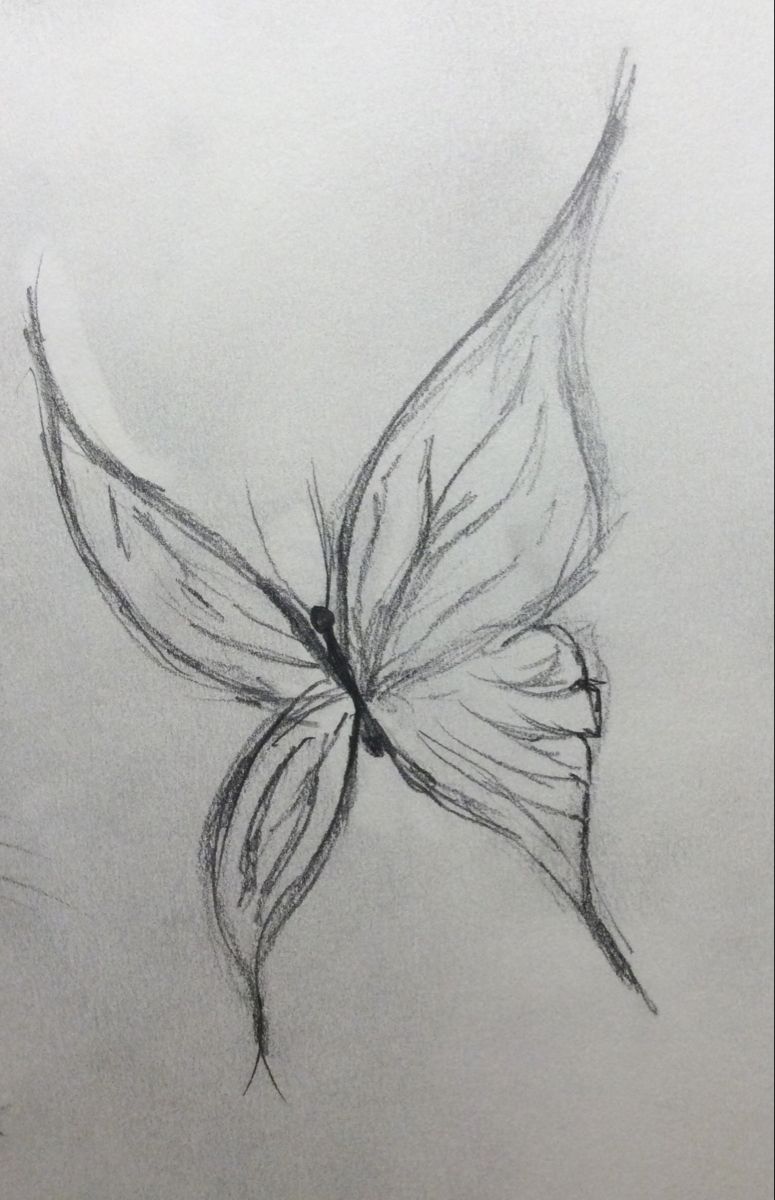 Desenho de Borboleta: Borboleta Realista a Lápis para desenhar