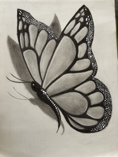 Desenho de Borboleta: Borboleta Realista a Lápis para desenhar