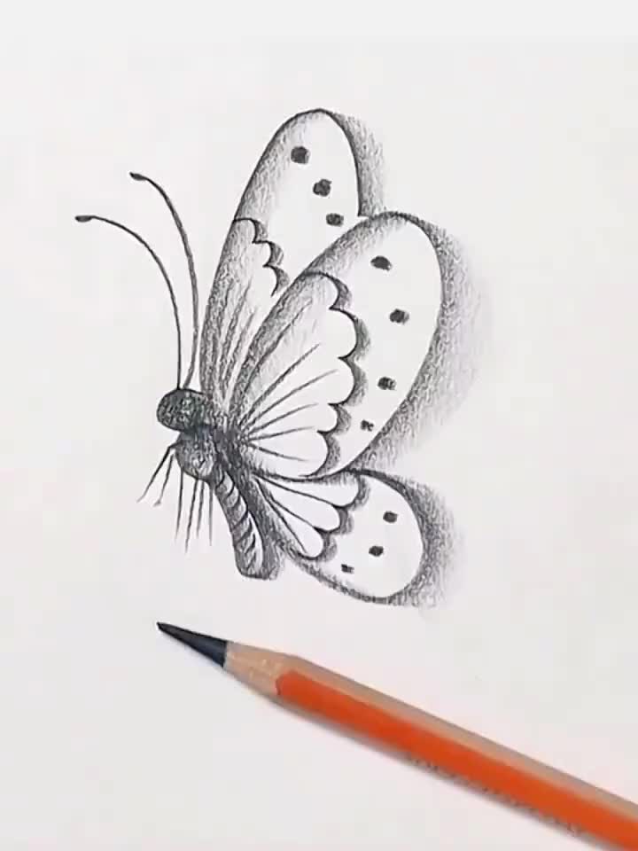 Desenho de Borboleta: Borboleta Realista a Lápis para desenhar