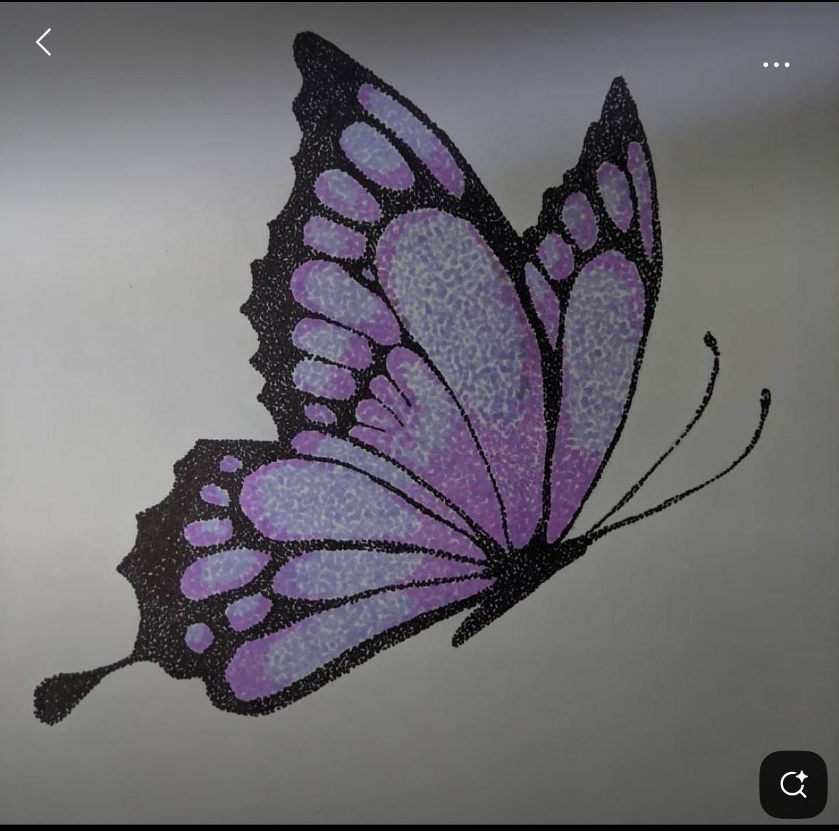 Desenho de Borboleta: Borboleta Realista a Lápis para desenhar