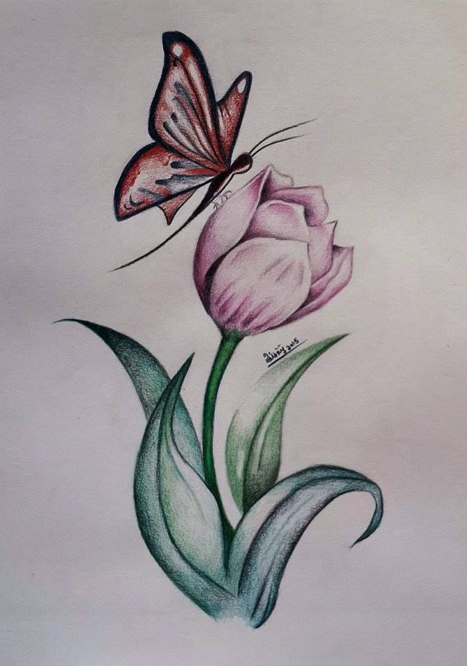 Desenho de Borboleta: Borboleta Realista sobre Flor para desenhar