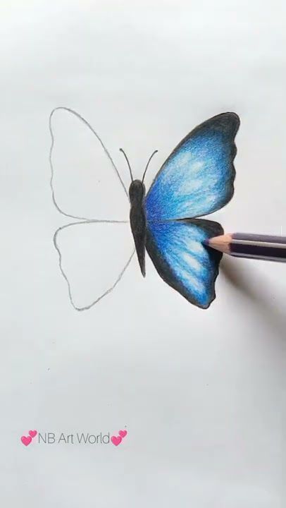 Desenho de Borboleta: Borboleta Realista a Lápis para desenhar