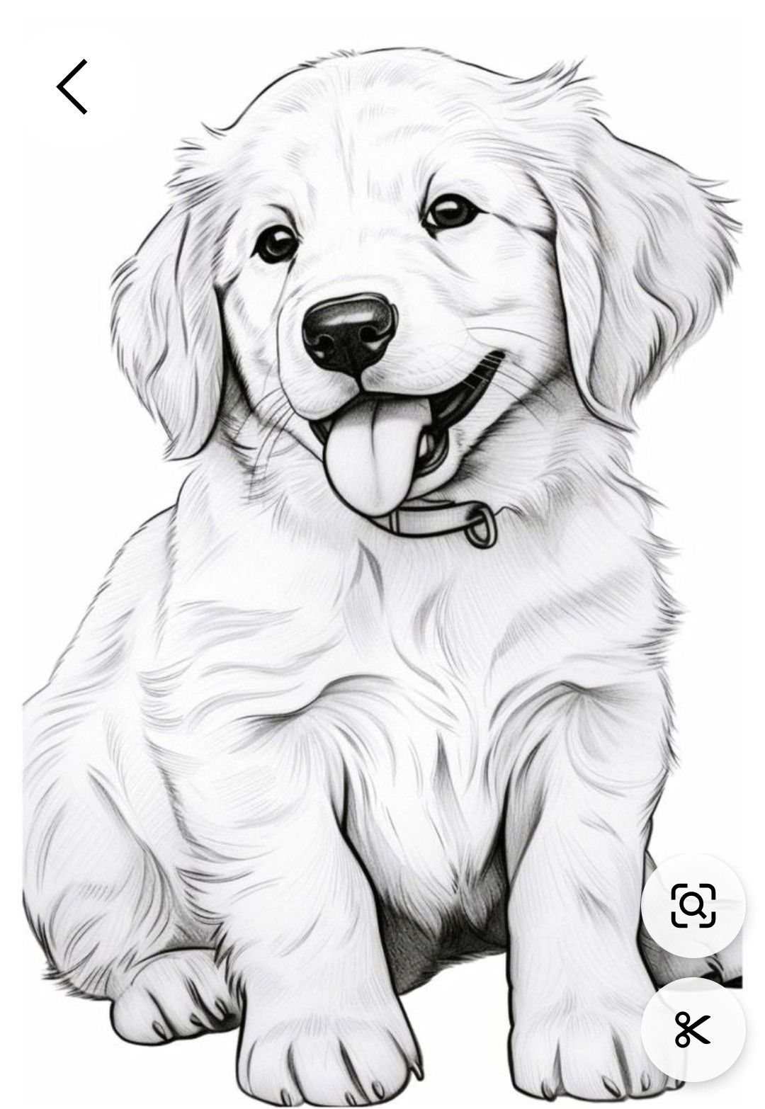 Desenho de Cachorro: Cachorro Golden Retriever para desenhar