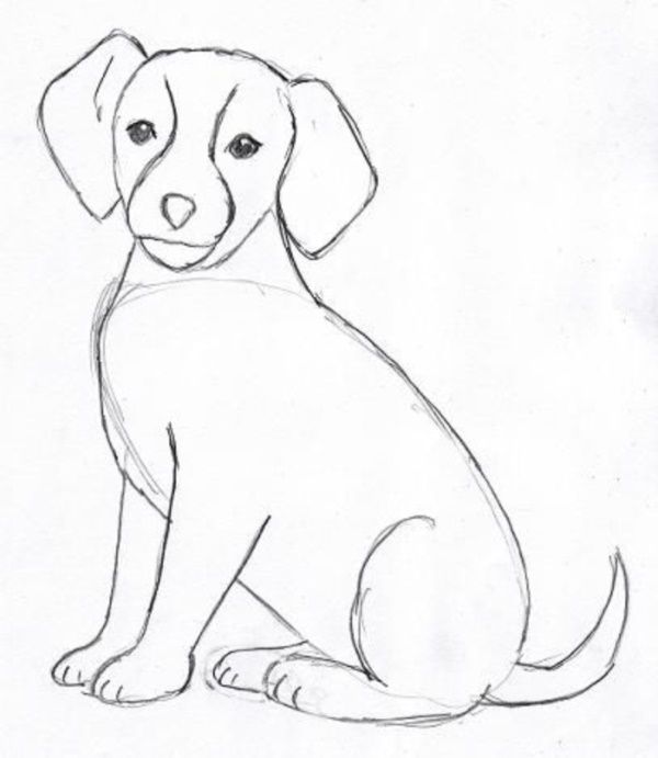 Desenho de Cachorro: Cachorro Beagle simples para desenhar