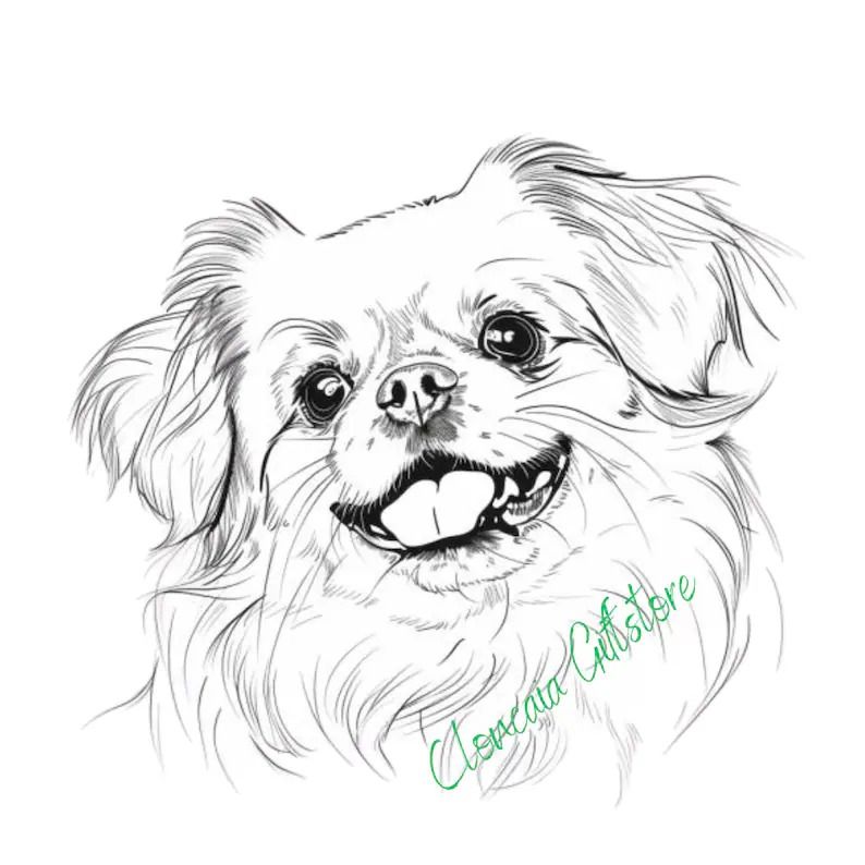 Desenho de Cachorro Pomerânia para desenhar