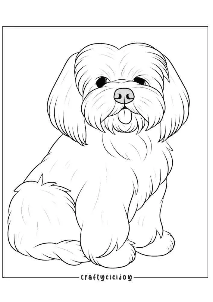 Desenho de Cachorro: Cachorro Lhasa Apso para desenhar