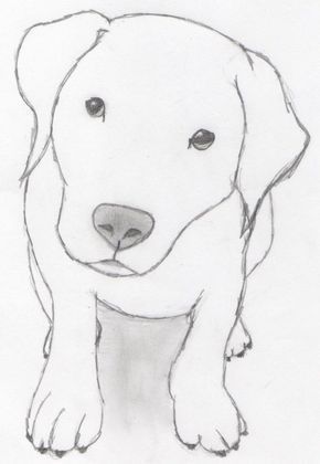 Desenho de Cachorro: Labrador Fofo para desenhar
