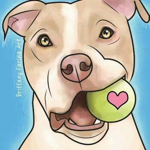 Desenho de Cachorro: Cachorro Pitbull com bola para desenhar