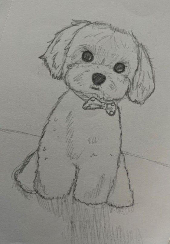 Desenho de Cachorro: Cachorro Fofo para desenhar