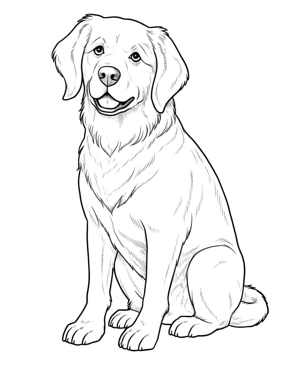 Desenho de Cachorro: Cachorro Golden Retriever para desenhar
