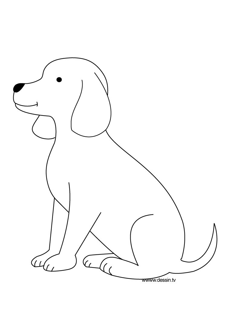 Desenho de Cachorro: Cachorro Labrador para desenhar