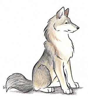 Desenho de Cachorro: Cachorro Husky Siberiano para desenhar