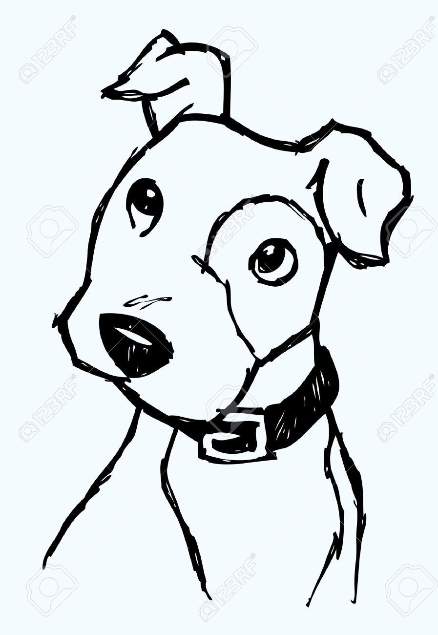 Desenho de Cachorro: Cachorro tipo Pitbull para desenhar