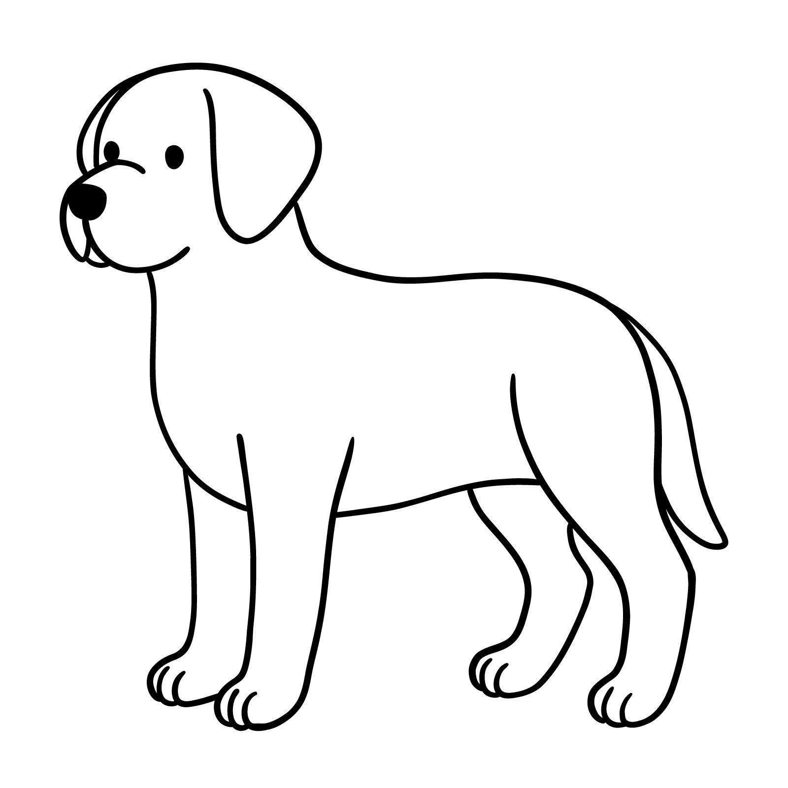 Desenho de Cachorro: Cachorro Labrador para desenhar