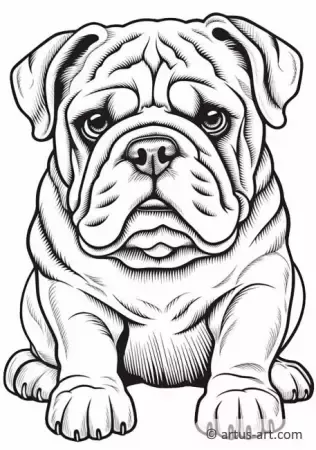 Desenho de Cachorro: Cachorro Bulldog para desenhar