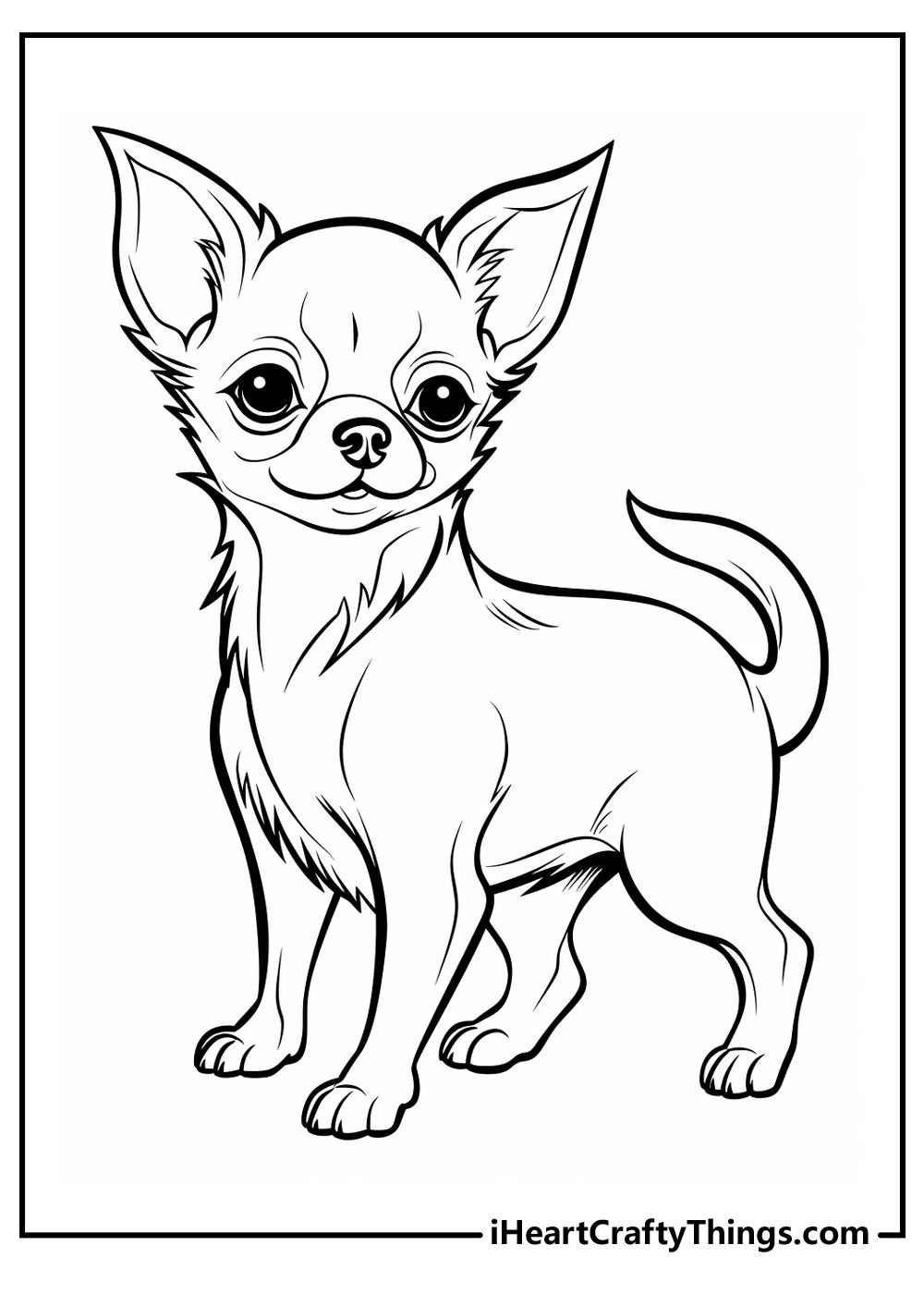 Desenho de Cachorro: Chihuahua para desenhar