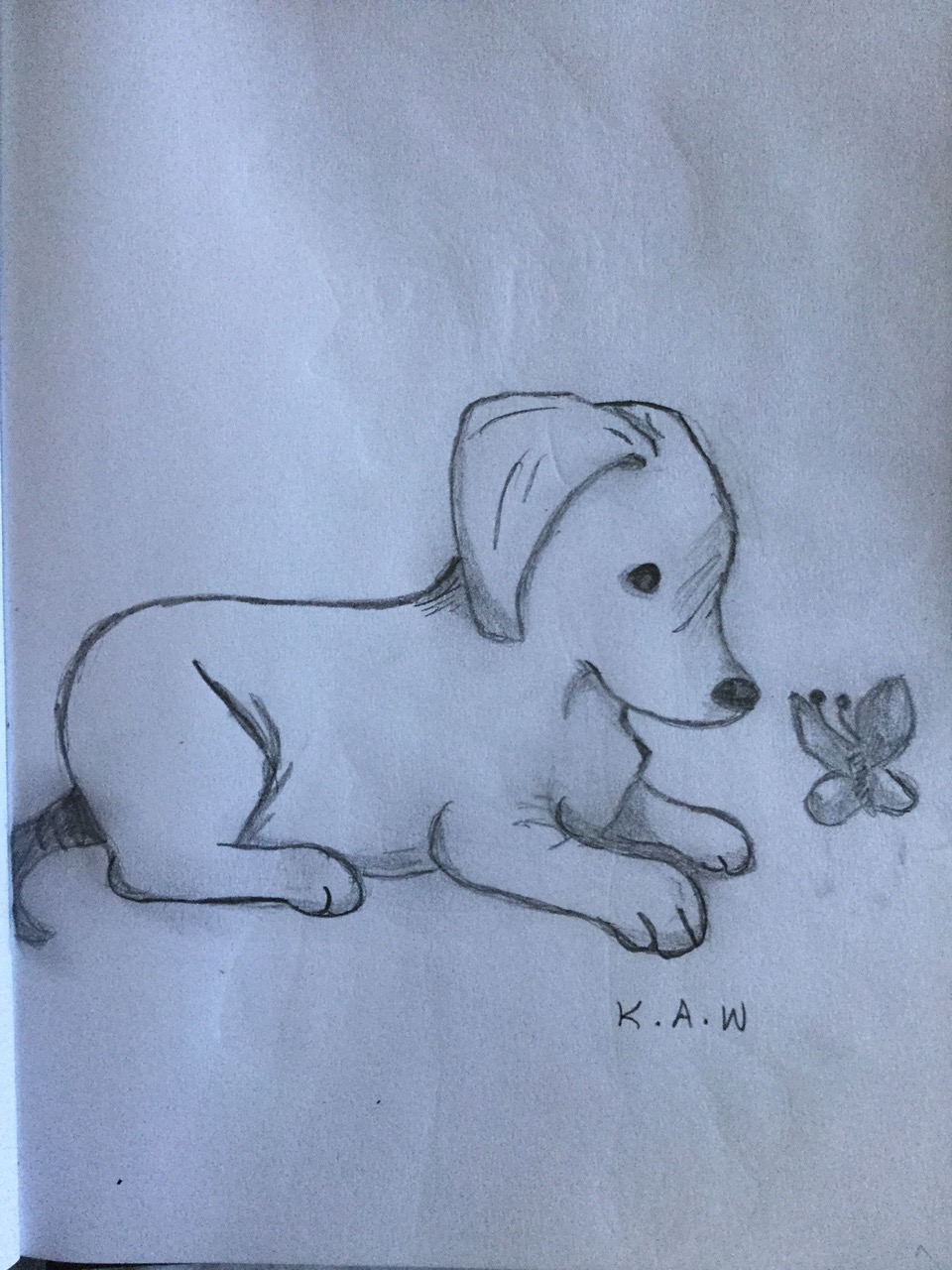Desenho de Cachorro: Cachorro Fofo para desenhar