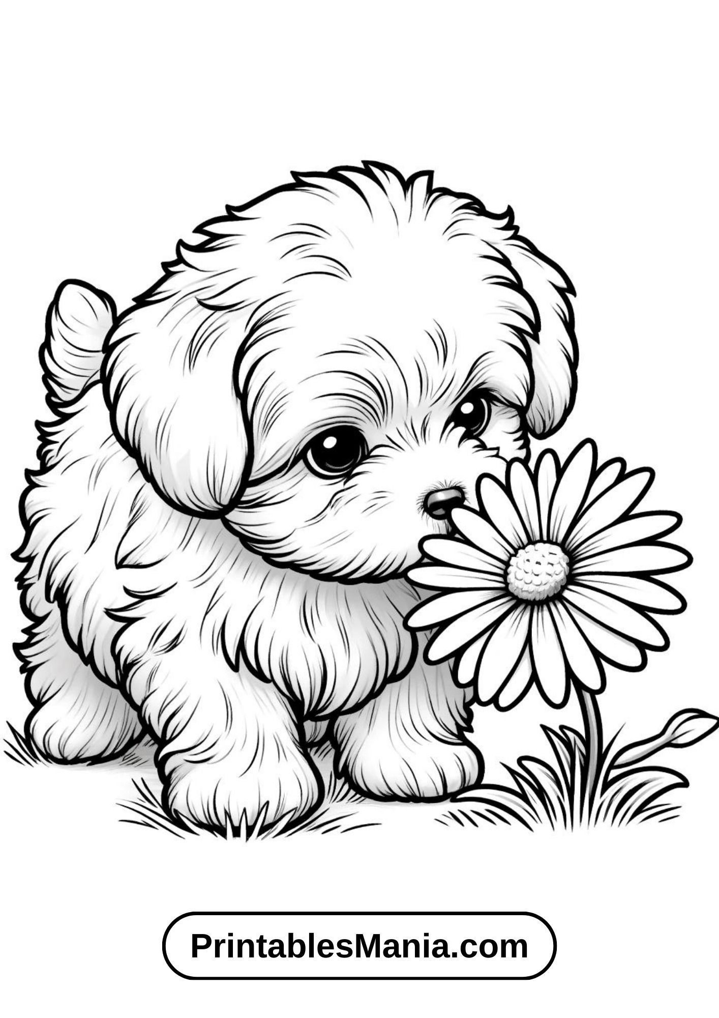 Desenho de Cachorro: Cachorrinho com flor para desenhar