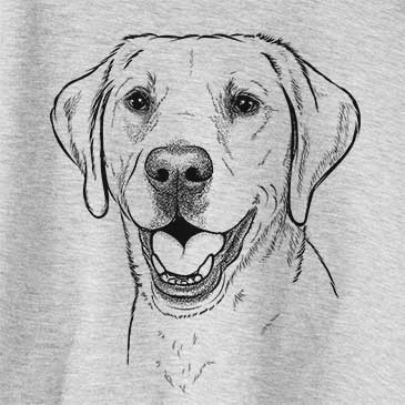 Desenho de Cachorro Labrador para desenhar