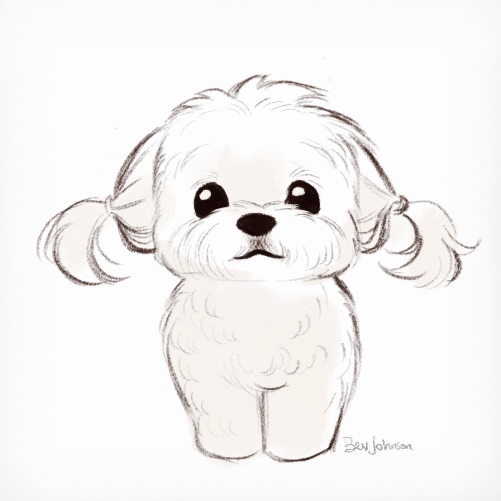 Desenho de Cachorro: Cachorro fofo com cabelo para desenhar