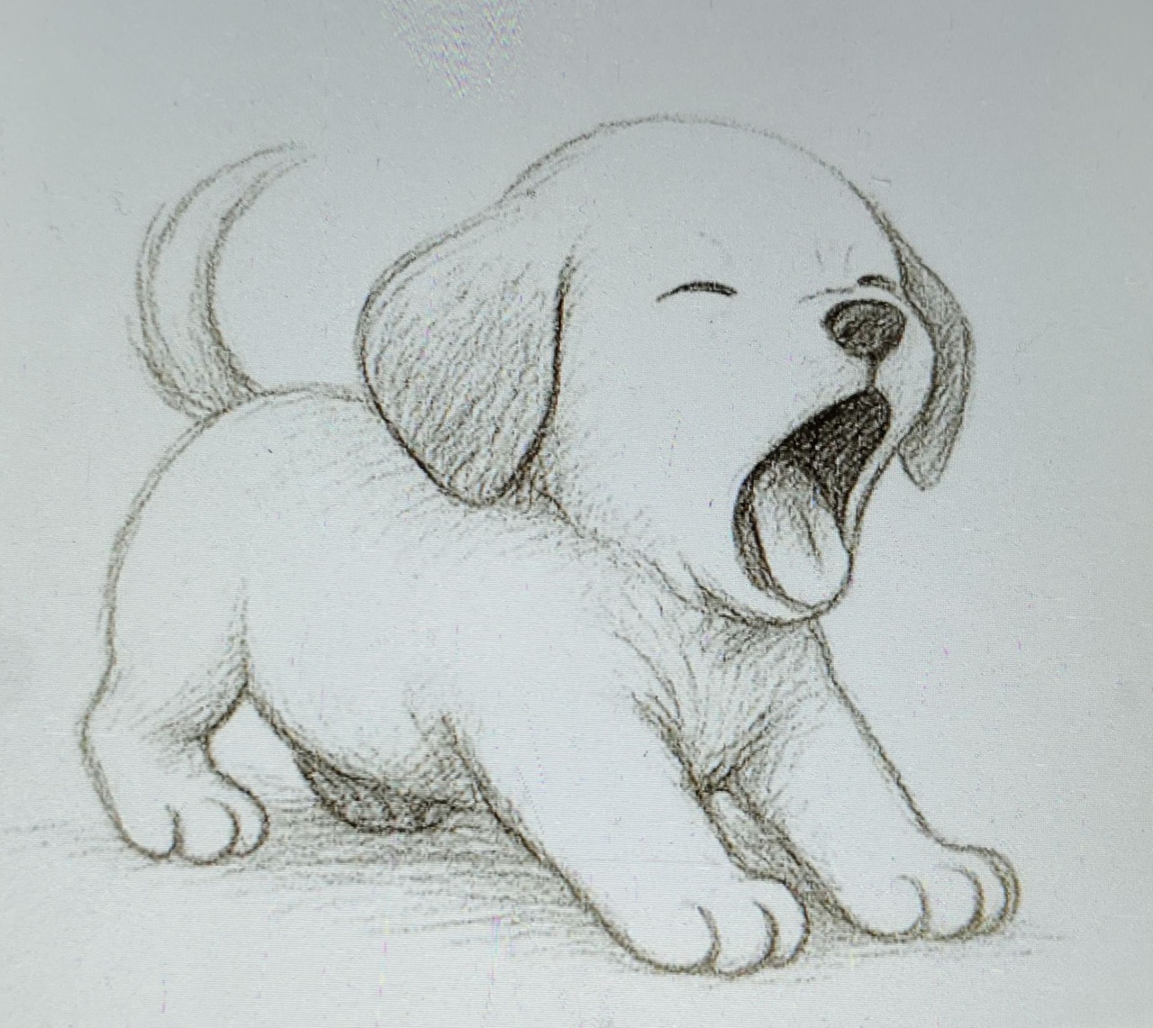 Desenho de Cachorro: Cachorrinho Fofo e Realista para desenhar