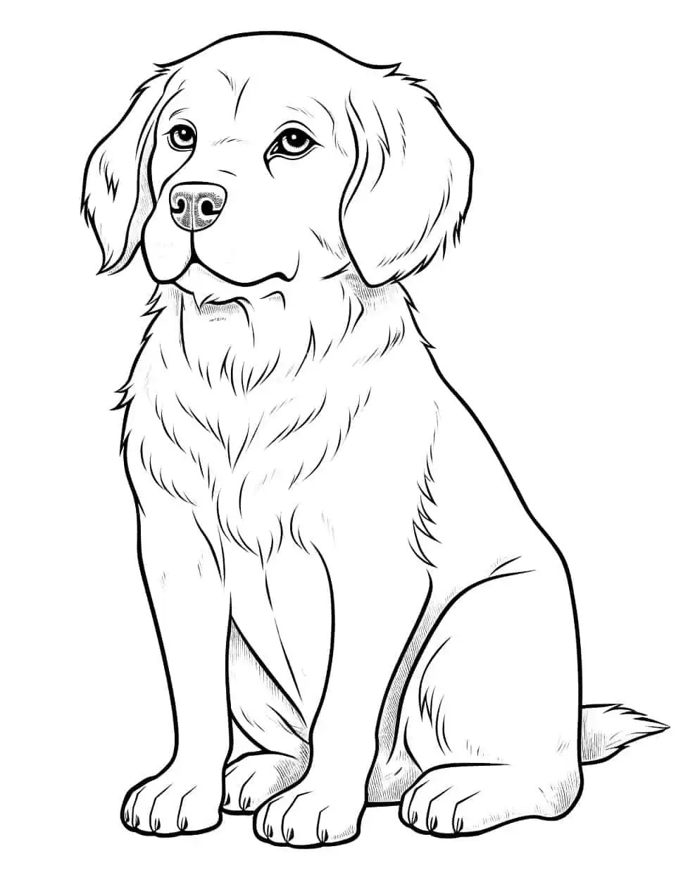 Desenho de Cachorro: Cachorro Labrador para desenhar